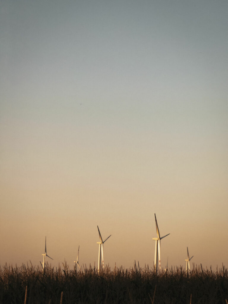 Wind turbines above fields in Subcarpathia during golden hour at the end of summer